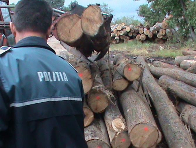 Lemne în valoare de aproape 800.000 de lei, confiscate de poliţişti