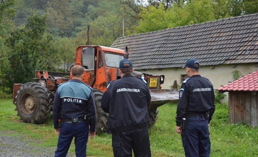 Jandarmii și polițiștii arădeni au prins în flagrant doi bărbați care au tăiat ilegal 250 de arbori în Valea Mare