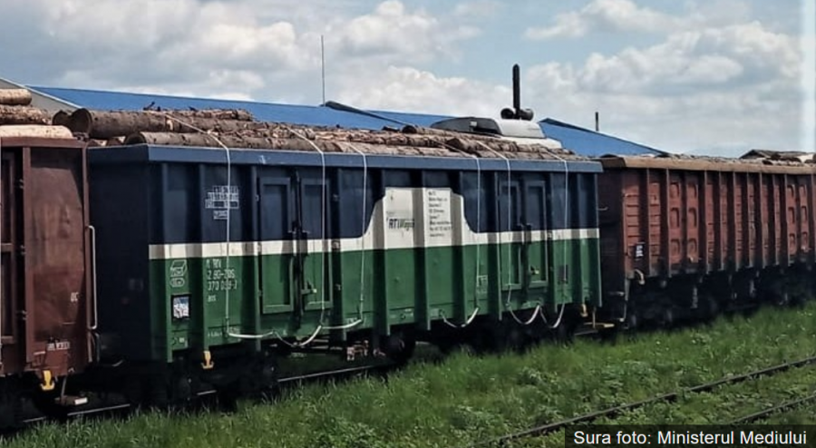 Un tren fără acte, cu 39 de vagoane pline cu buşteni, oprit de poliţişti