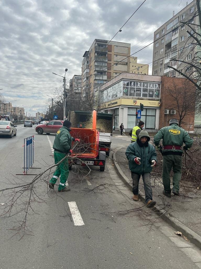 Ce spun reprezentanţii Primăriei despre toaletările care se fac în municipiu