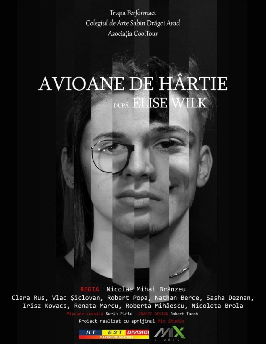 AVIOANE DE HÂRTIE pe cerul artei