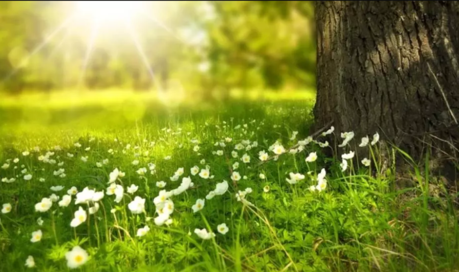 Prognoza meteo pe o lună - schimbări spectaculoase ale vremii