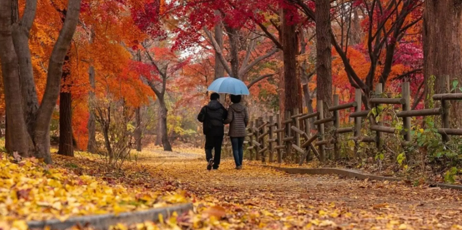 Prognoza meteo pe două săptămâni - zonele lovite de ploi. Când se încălzește - temperaturi de 28 de grade