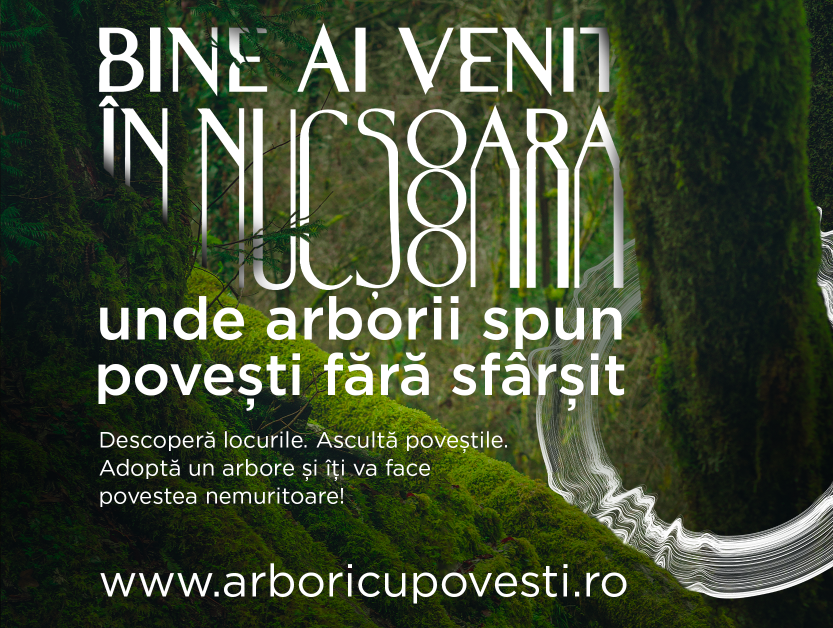 Fundatia Conservation Carpathia si Primaria Nucsoara lanseaza Padurea Povestilor Nemuritoare