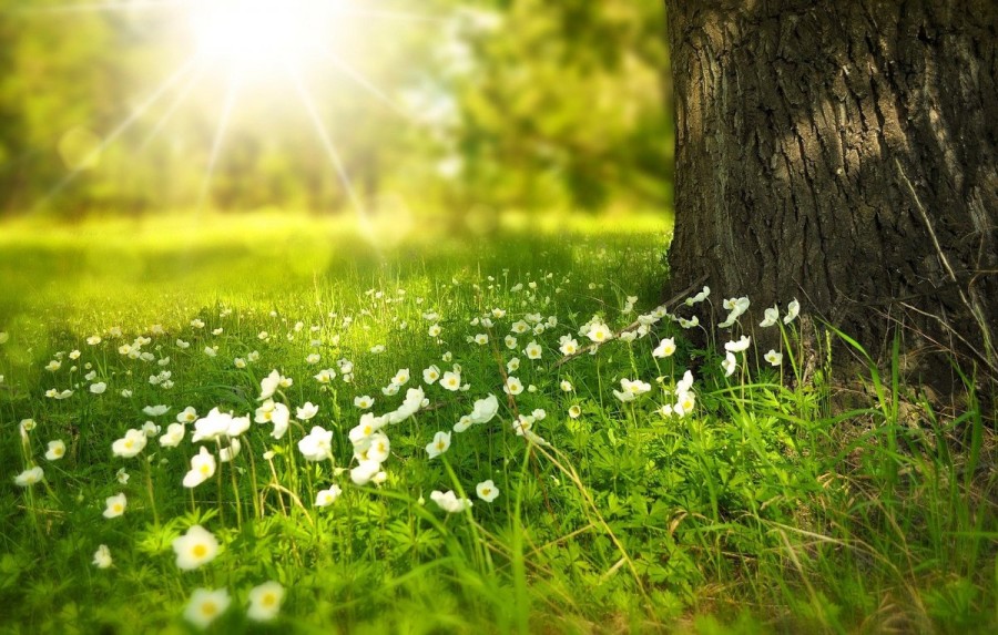 Prognoză meteo: Urmează două săptămâni cu temperaturi peste normalul perioadei