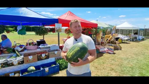 Târgul Producătorilor din Arad debutează la ieșirea spre Zimandu Nou