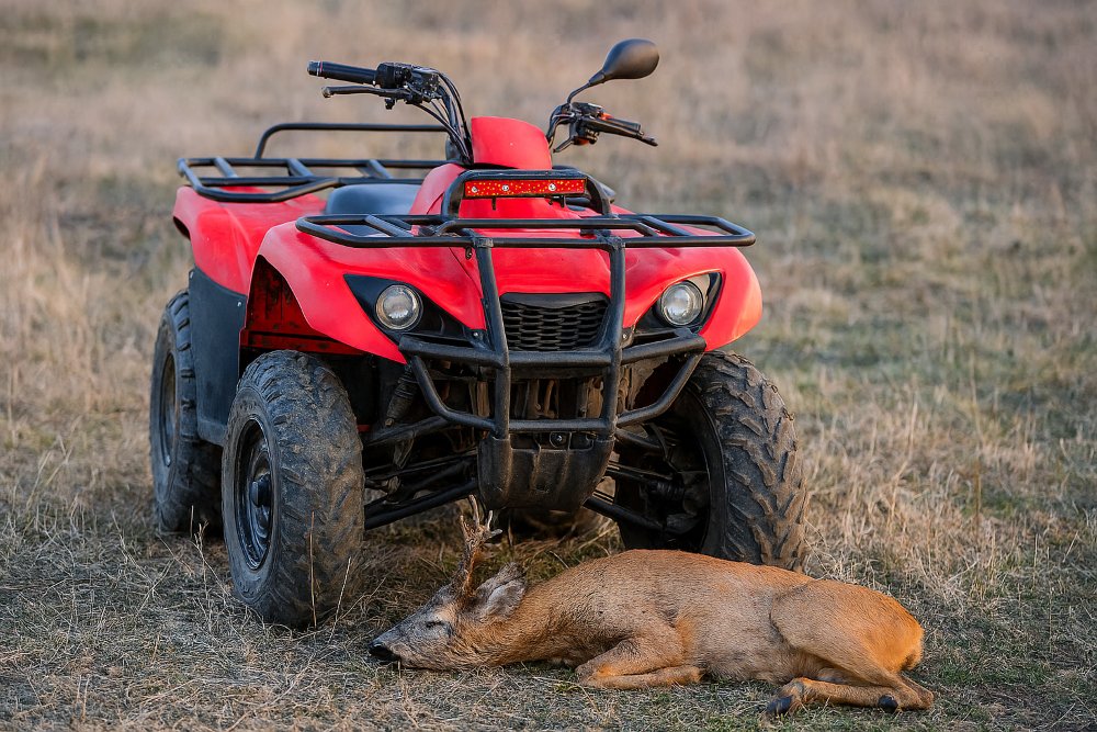 Barbatul din Vinga care a vânat cu ATV-ul în loc de armă a fost trimis în judecată