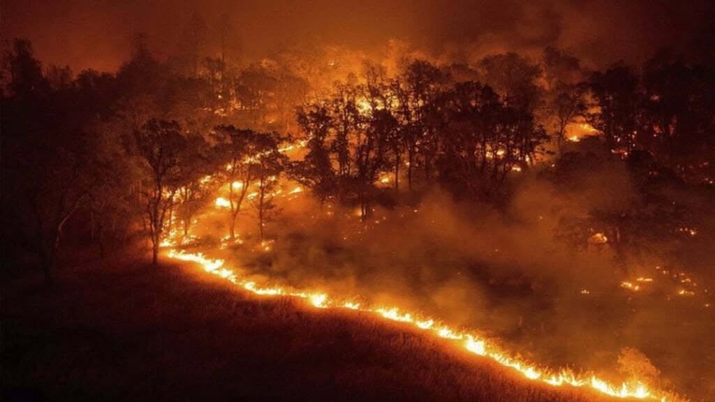Glad Varga: „Un incendiu nu trebuie să ardă săptămâni întregi într-o arie protejată”