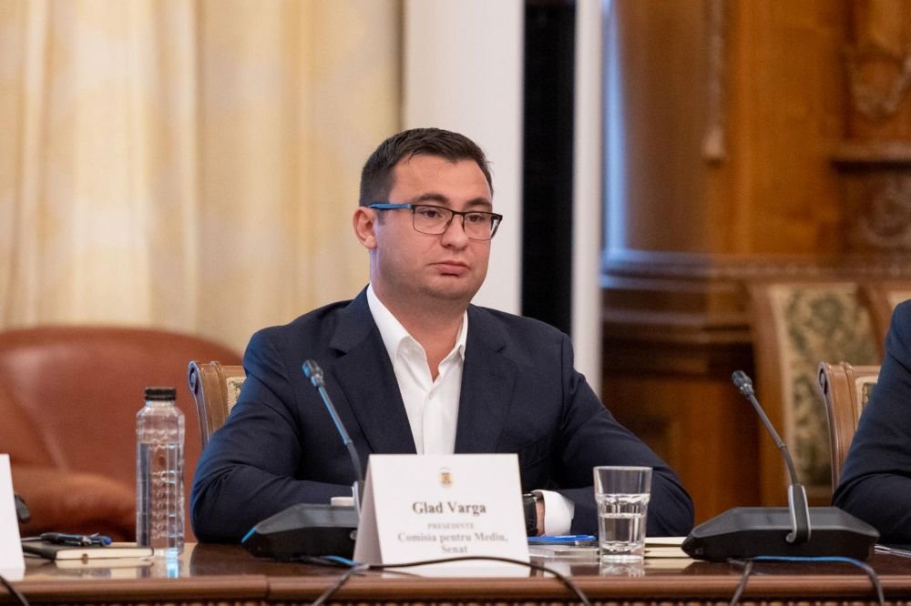 Glad Varga: „PSD a revenit la guvernare. Și deja pare că îi este dor de opoziție!”